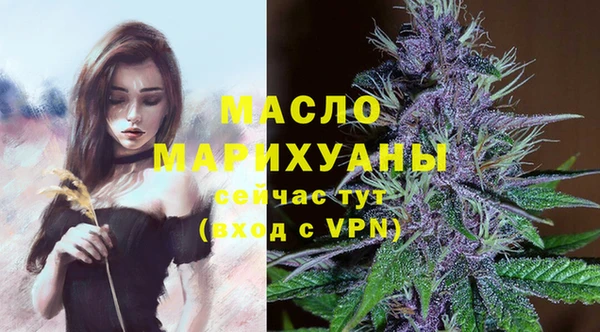 сатива Заводоуковск