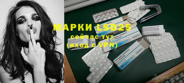 сатива Заводоуковск