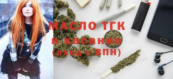 сатива Заводоуковск