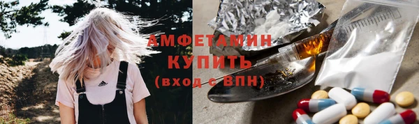 сатива Заводоуковск