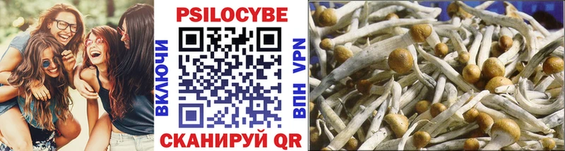 Купить закладки  Ленск  Галлюциногенные грибы Magic Shrooms 